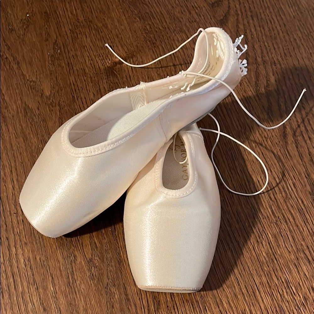 Gaynor Minden Lyra SC-9.5W4SDH